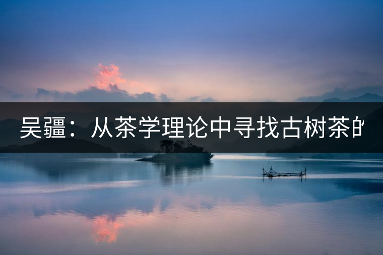 吳疆：從茶學(xué)理論中尋找古樹茶的鑒別方法？（讀書筆記3）
