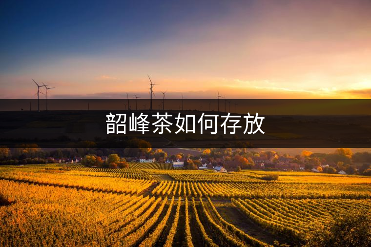 韶峰茶如何存放