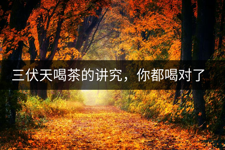 三伏天喝茶的講究，你都喝對了嗎？