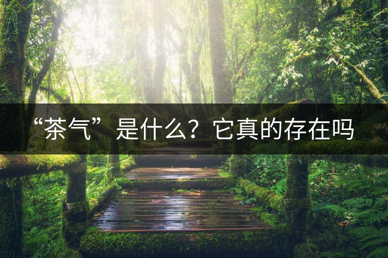“茶氣”是什么？它真的存在嗎？
