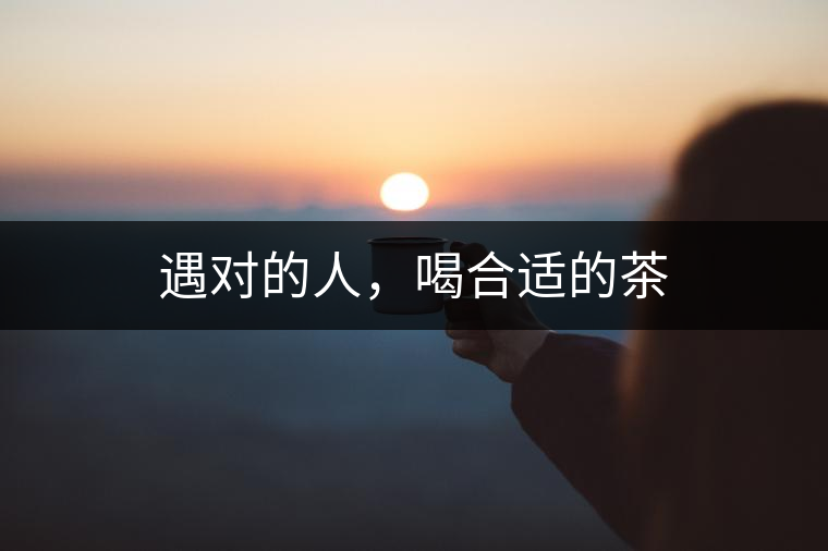 遇對的人，喝合適的茶