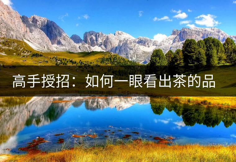 高手授招：如何一眼看出茶的品級高低？