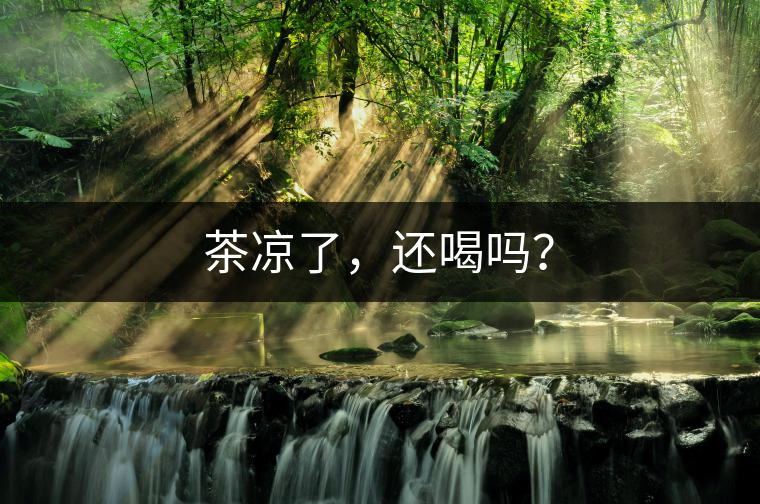 茶涼了，還喝嗎？