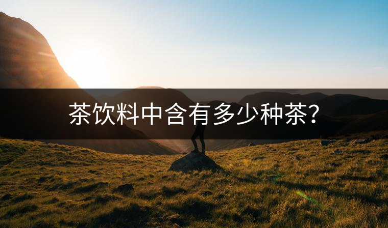 茶飲料中含有多少種茶？