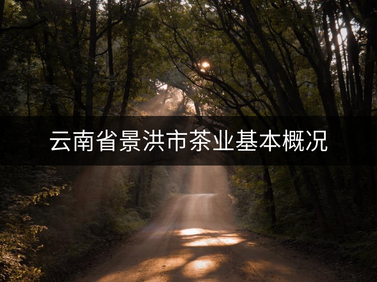 云南省景洪市茶業(yè)基本概況 云南省景洪市茶業(yè)基本概況