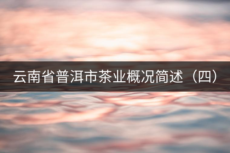 云南省普洱市茶業(yè)概況簡(jiǎn)述（四）