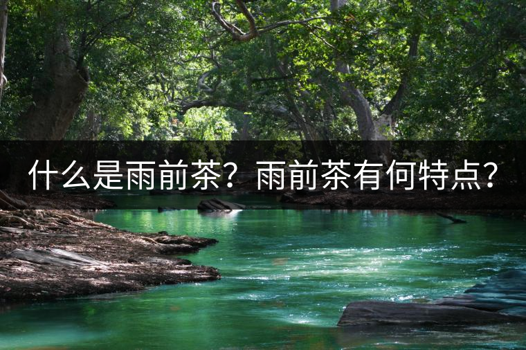 什么是雨前茶？雨前茶有何特點？