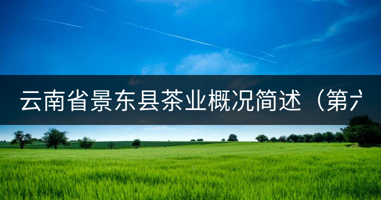 云南省景東縣茶業(yè)概況簡(jiǎn)述（第六章）