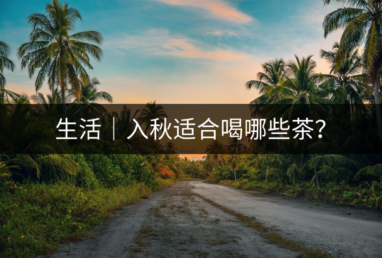 生活｜入秋適合喝哪些茶？