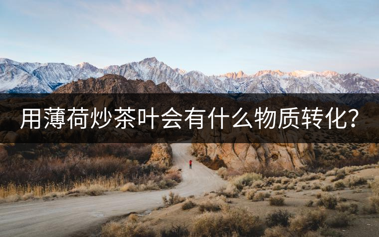 用薄荷炒茶葉會(huì)有什么物質(zhì)轉(zhuǎn)化？