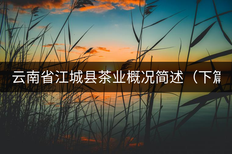 云南省江城縣茶業(yè)概況簡(jiǎn)述(下篇) 云南省江城縣茶業(yè)概況簡(jiǎn)述(下篇)
