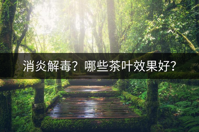 消炎解毒？哪些茶葉效果好？