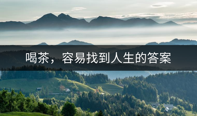 喝茶，容易找到人生的答案