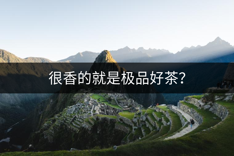 很香的就是極品好茶？