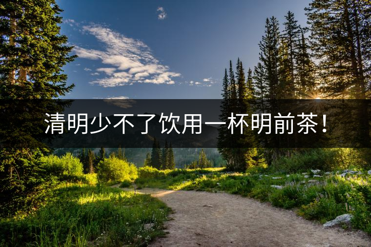 清明少不了飲用一杯明前茶！