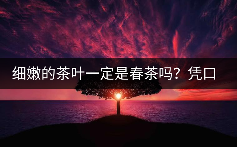 細(xì)嫩的茶葉一定是春茶嗎？憑口感鑒別春茶的方法