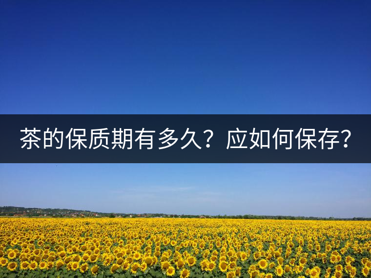 茶的保質(zhì)期有多久？應(yīng)如何保存？