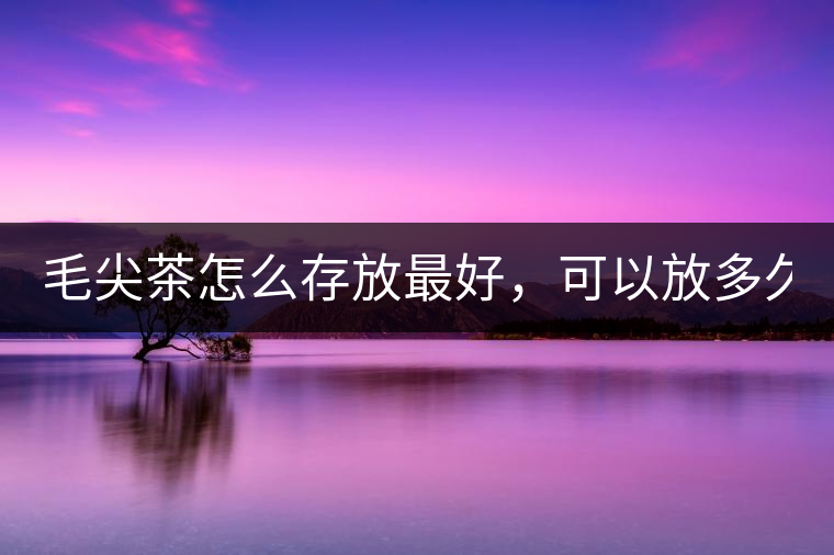 毛尖茶怎么存放最好，可以放多久？