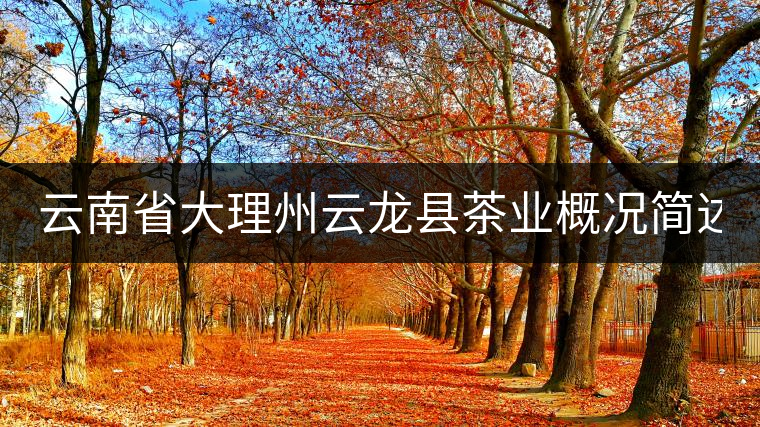 云南省大理州云龍縣茶業(yè)概況簡述(第三講) 云南省大理州云龍縣茶業(yè)概況簡述(第三講)