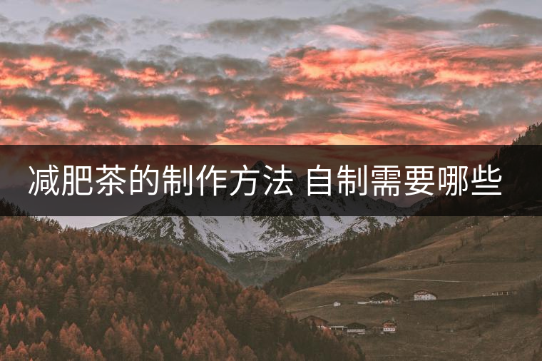減肥茶的制作方法 自制需要哪些材料? 減肥茶的制作方法 自制需要哪些材料?