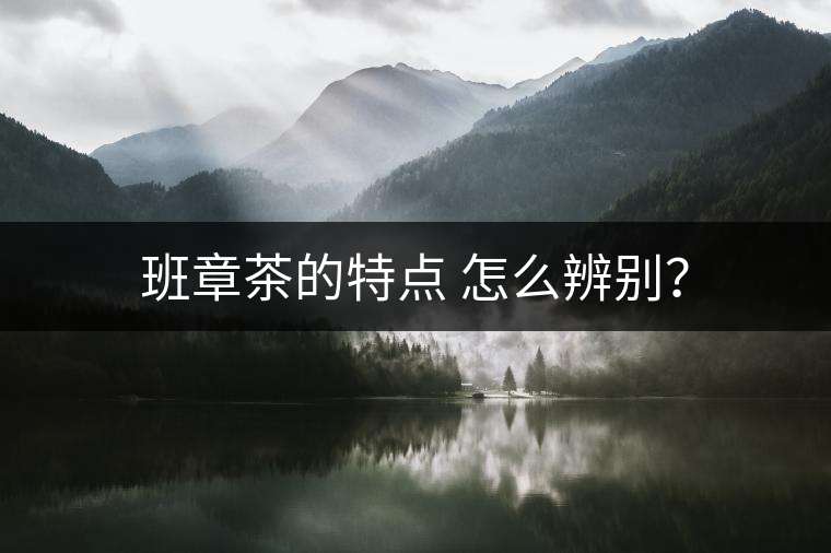 班章茶的特點 怎么辨別？