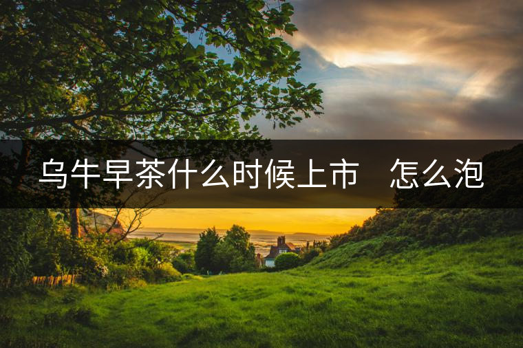 烏牛早茶什么時候上市 怎么泡 烏牛早茶什么時候上市 怎么泡