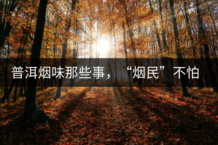 普洱煙味那些事,“煙民”不怕當 普洱煙味那些事,“煙民”不怕當