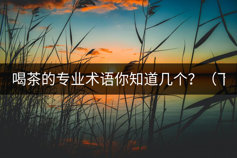 喝茶的專業(yè)術語你知道幾個？（下篇）