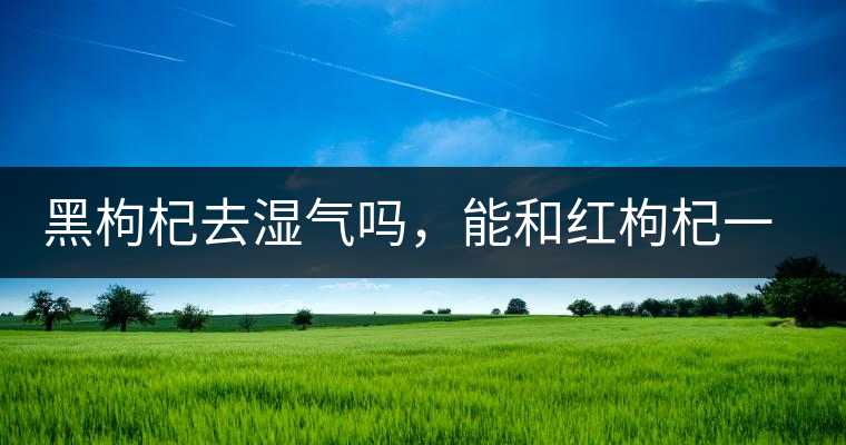 黑枸杞去濕氣嗎，能和紅枸杞一起泡嗎？