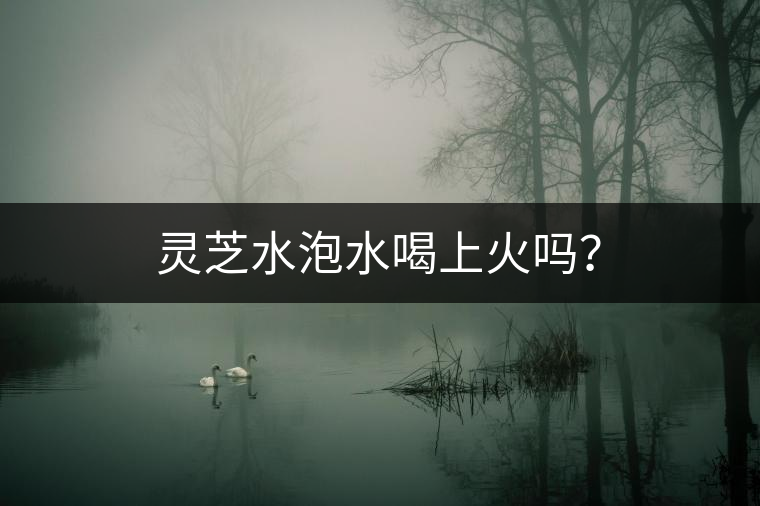 靈芝水泡水喝上火嗎？