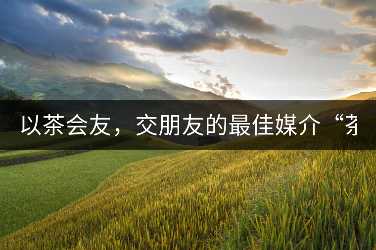 以茶會(huì)友，交朋友的最佳媒介“茶”！