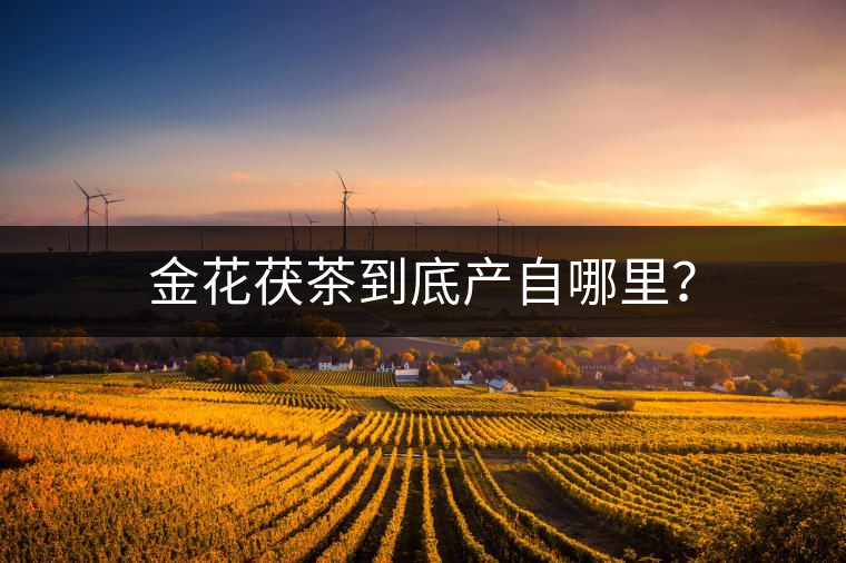 金花茯茶到底產(chǎn)自哪里？