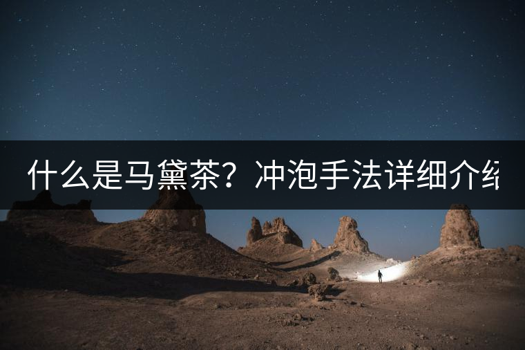 什么是馬黛茶？沖泡手法詳細介紹！