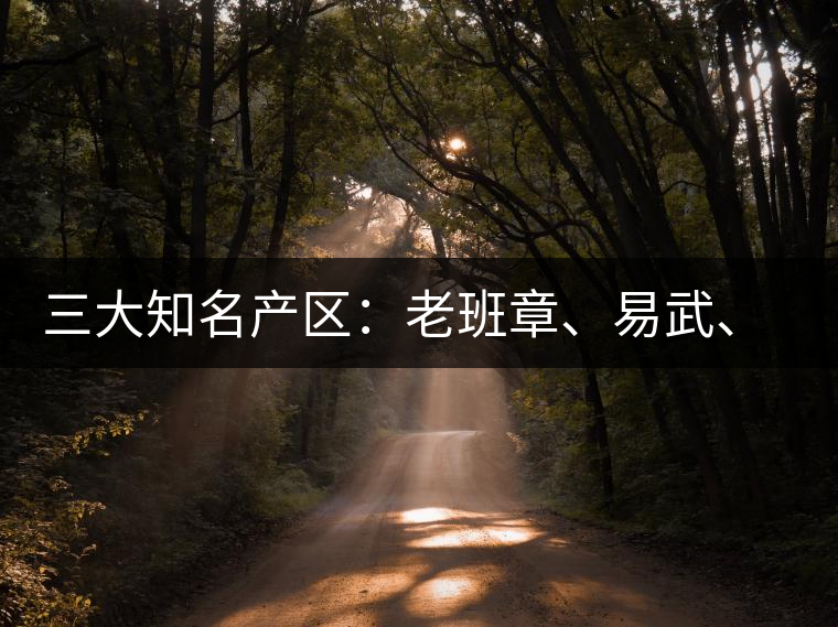 三大知名產(chǎn)區(qū)：老班章、易武、景邁三大茶系都有哪些特點(diǎn)！