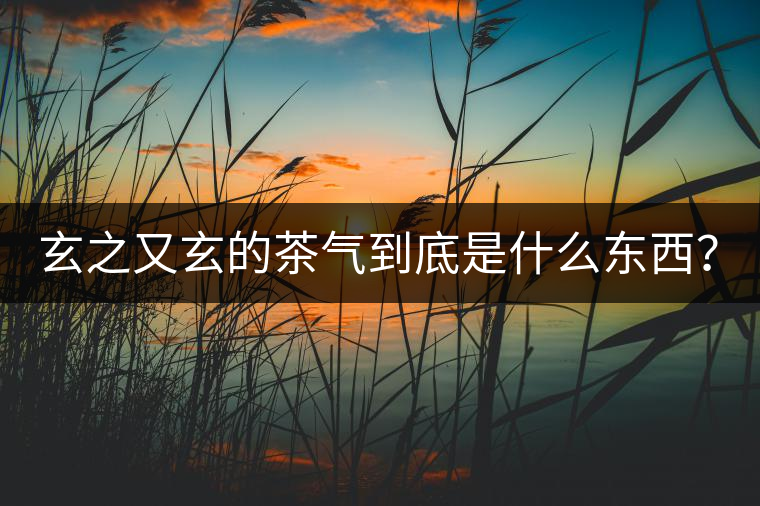 玄之又玄的茶氣到底是什么東西？