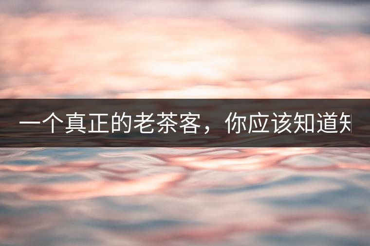 一個真正的老茶客，你應該知道知識點！