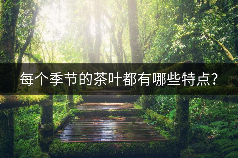 每個季節(jié)的茶葉都有哪些特點？