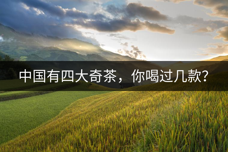 中國有四大奇茶，你喝過幾款？