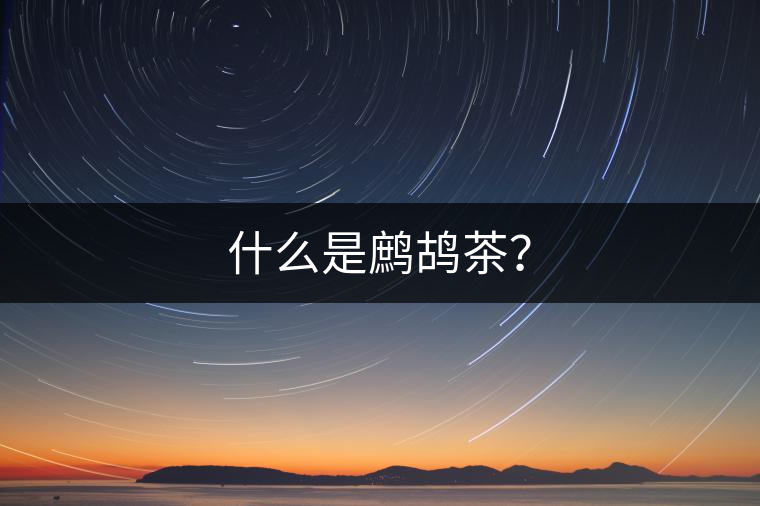 什么是鷓鴣茶？