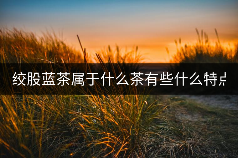 絞股藍(lán)茶屬于什么茶有些什么特點(diǎn)？