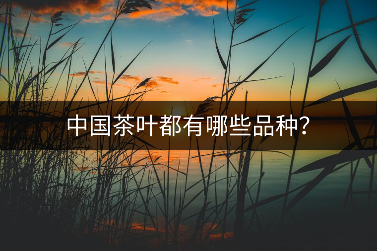 中國茶葉都有哪些品種？