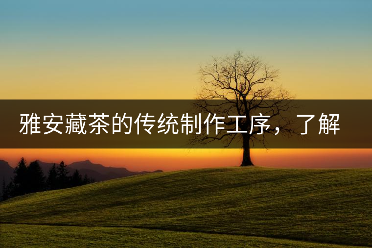 雅安藏茶的傳統(tǒng)制作工序，了解了傳統(tǒng)技藝才能更好的了解茶品！