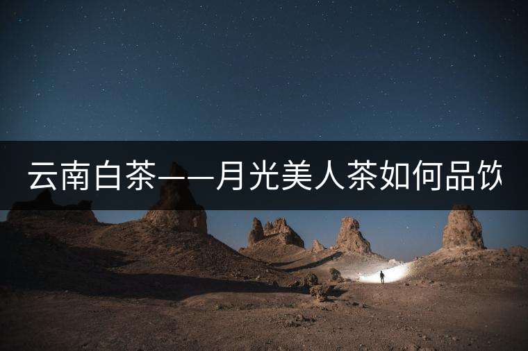 云南白茶——月光美人茶如何品飲？