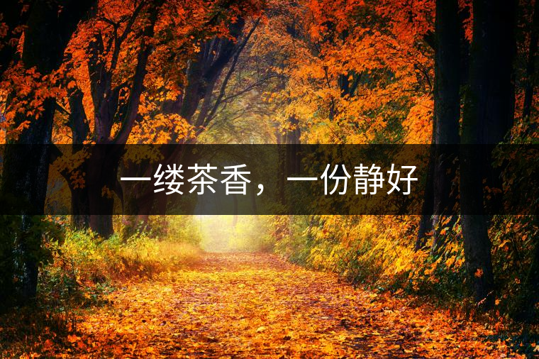 一縷茶香，一份靜好