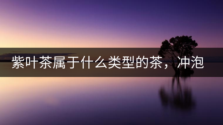 紫葉茶屬于什么類型的茶，沖泡需要注意什么？