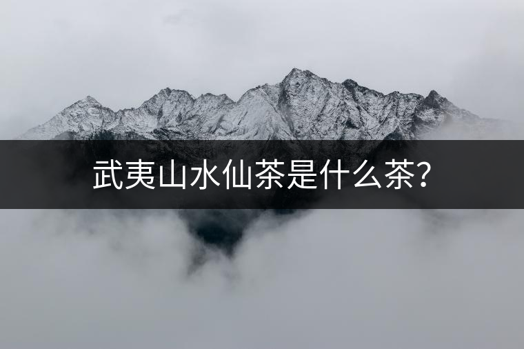 武夷山水仙茶是什么茶？