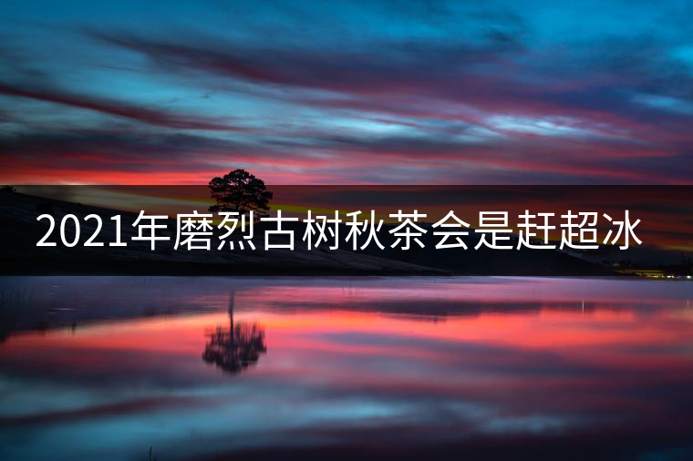 2021年磨烈古樹秋茶會(huì)是趕超冰島的存在嗎？