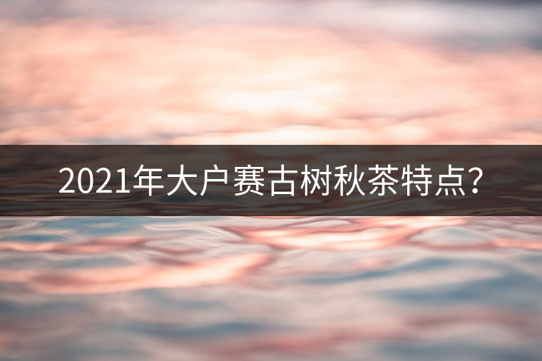 2021年大戶(hù)賽古樹(shù)秋茶特點(diǎn)？