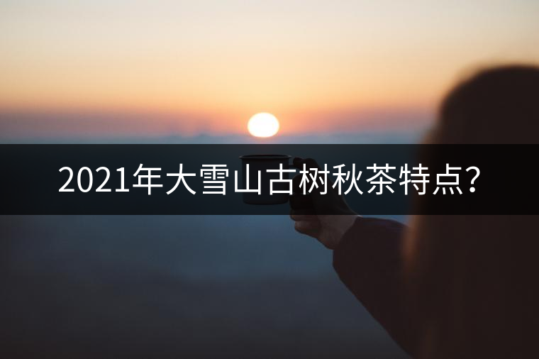 2021年大雪山古樹秋茶特點(diǎn)？