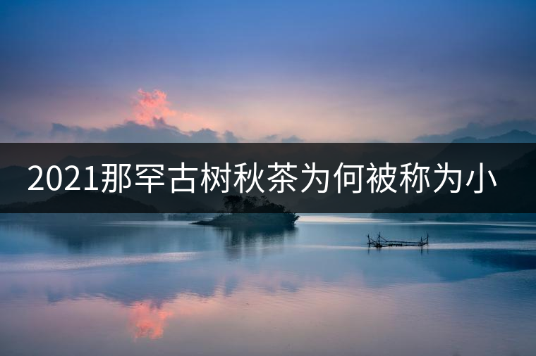 2021那罕古樹秋茶為何被稱為小昔歸？